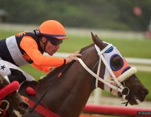 09.07 Corridas &raquo; 09.07 Corridas &raquo; 260924